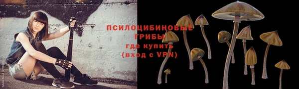 Альфа ПВП Алексин
