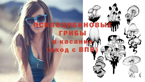 mdpv Алзамай