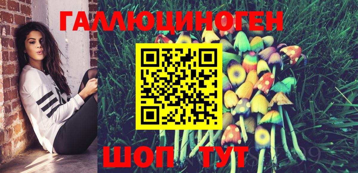 Конаково  Псилоцибиновые грибы GOLDEN TEACHER  Вход с VPN 
