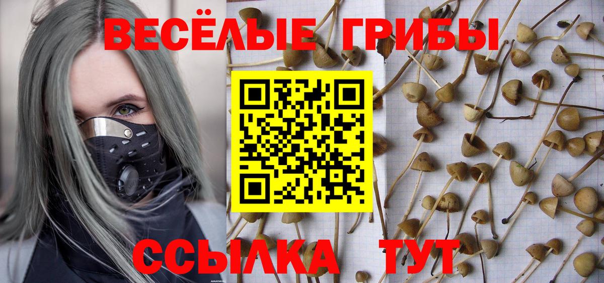 Псилоцибиновые грибы Magic Shrooms Конаково